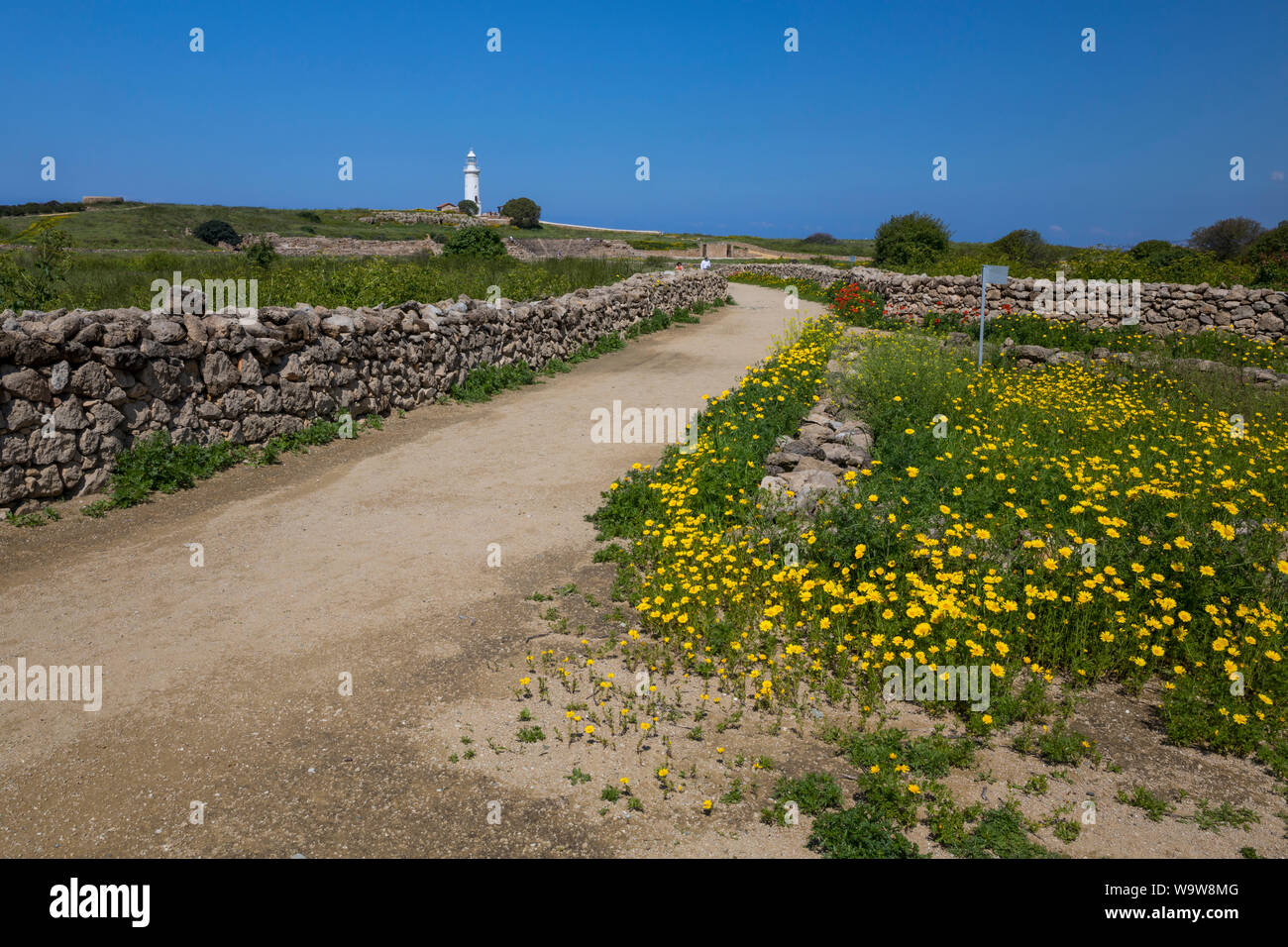 Pafos archaeological park hi-res stock photography and images - Alamy