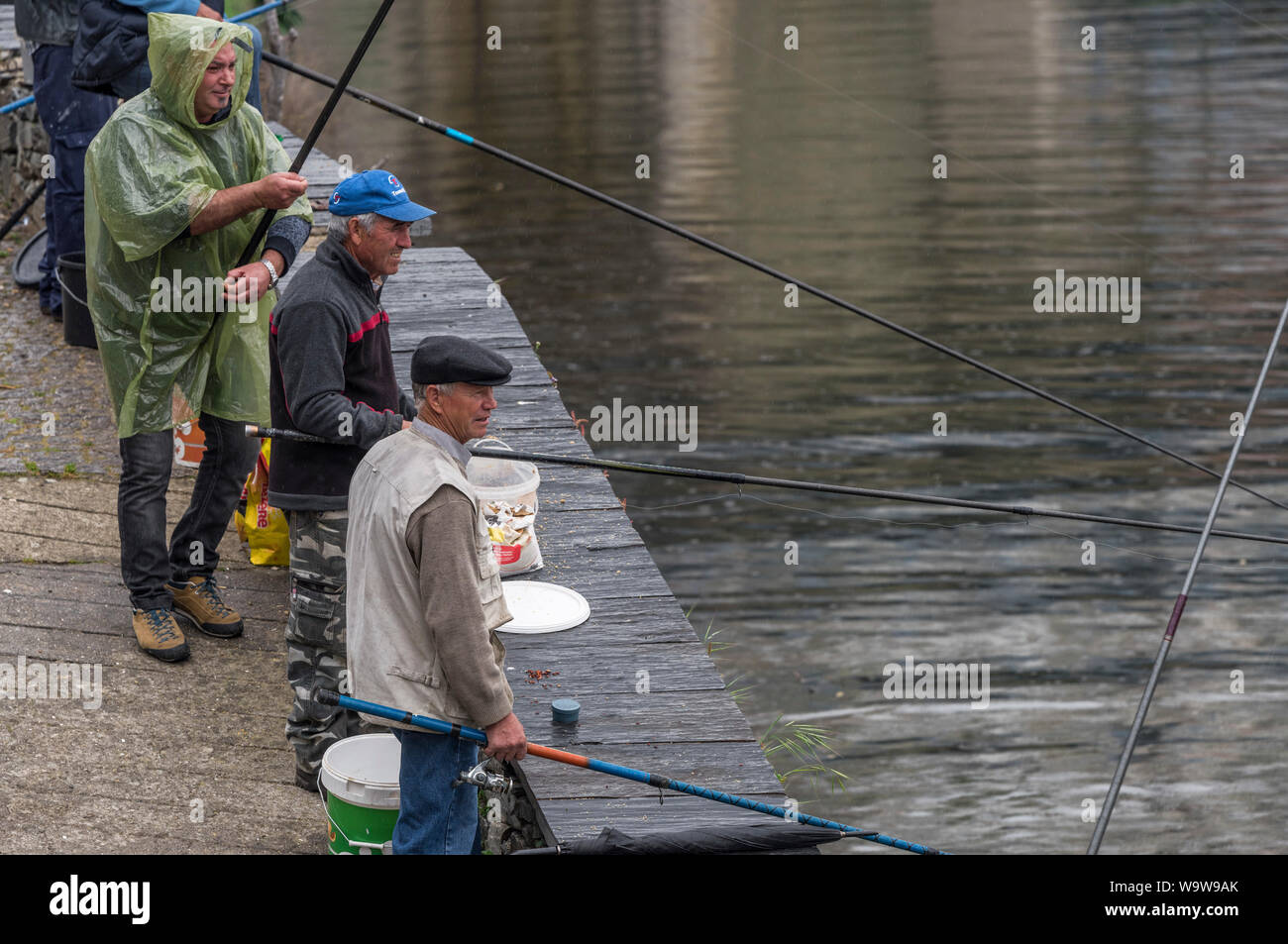 River douro fish hires stock photography and images Alamy