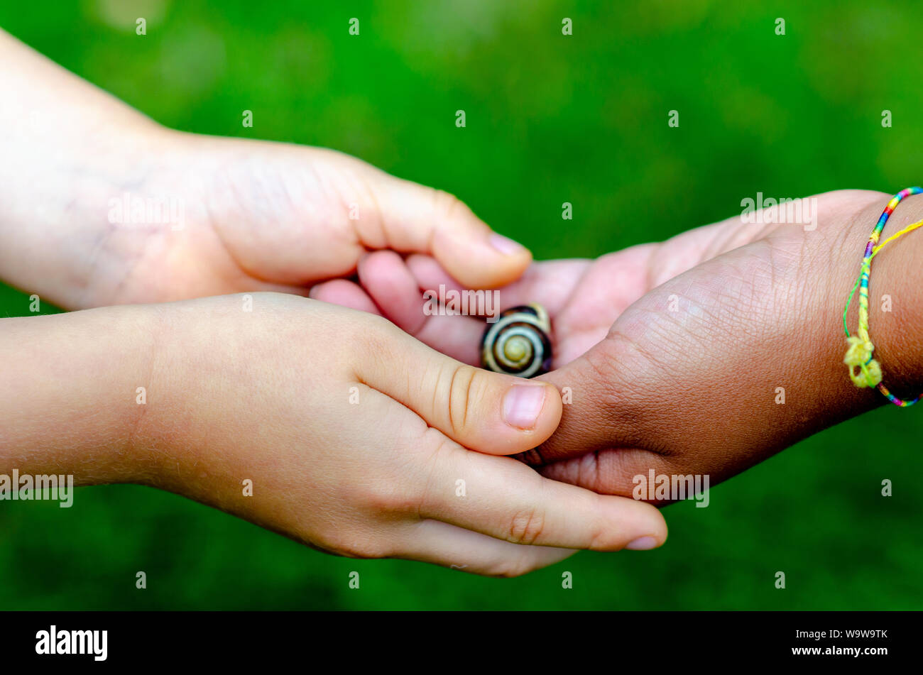 Boy and girl of different races hold an alive snail in their hands. Boy is Caucasian and the girl is black.Conceptual photo about care and diversity. Stock Photo