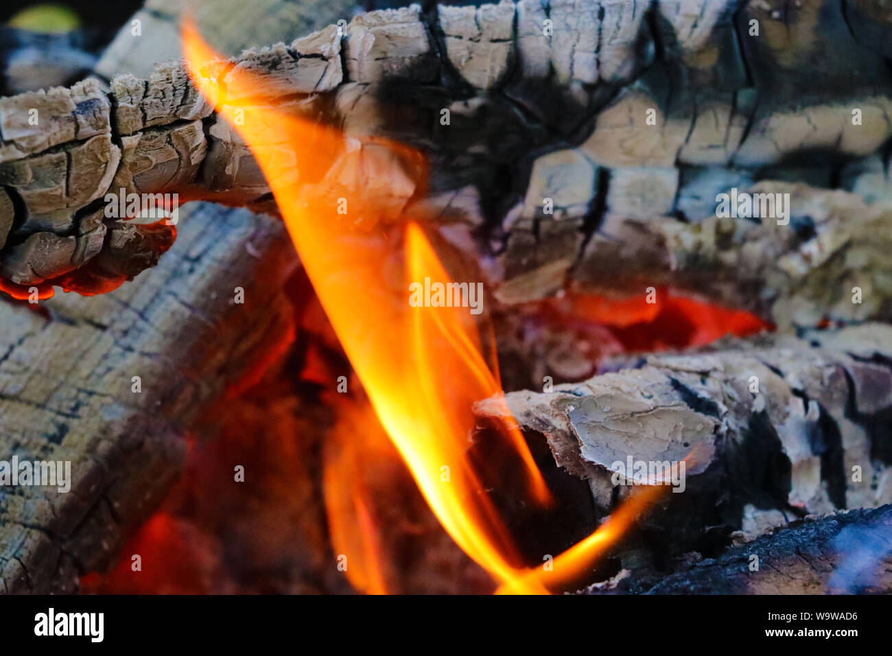 Beautiful color of burning red coals and black charred wood. Orange hot coals in the Russian stove. Red burning coals as a texture for design Stock Photo