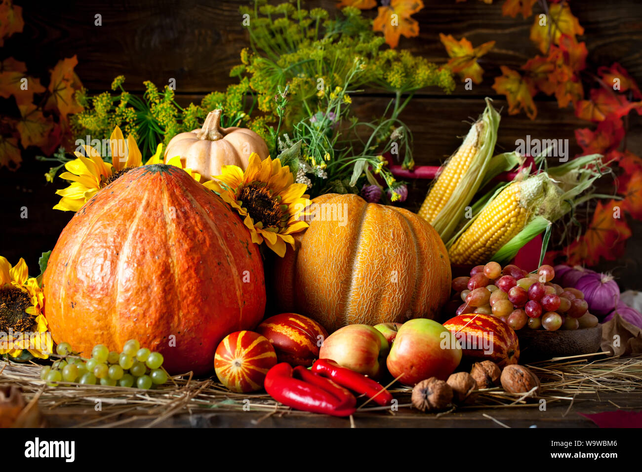 A Harvest of Thanksgiving