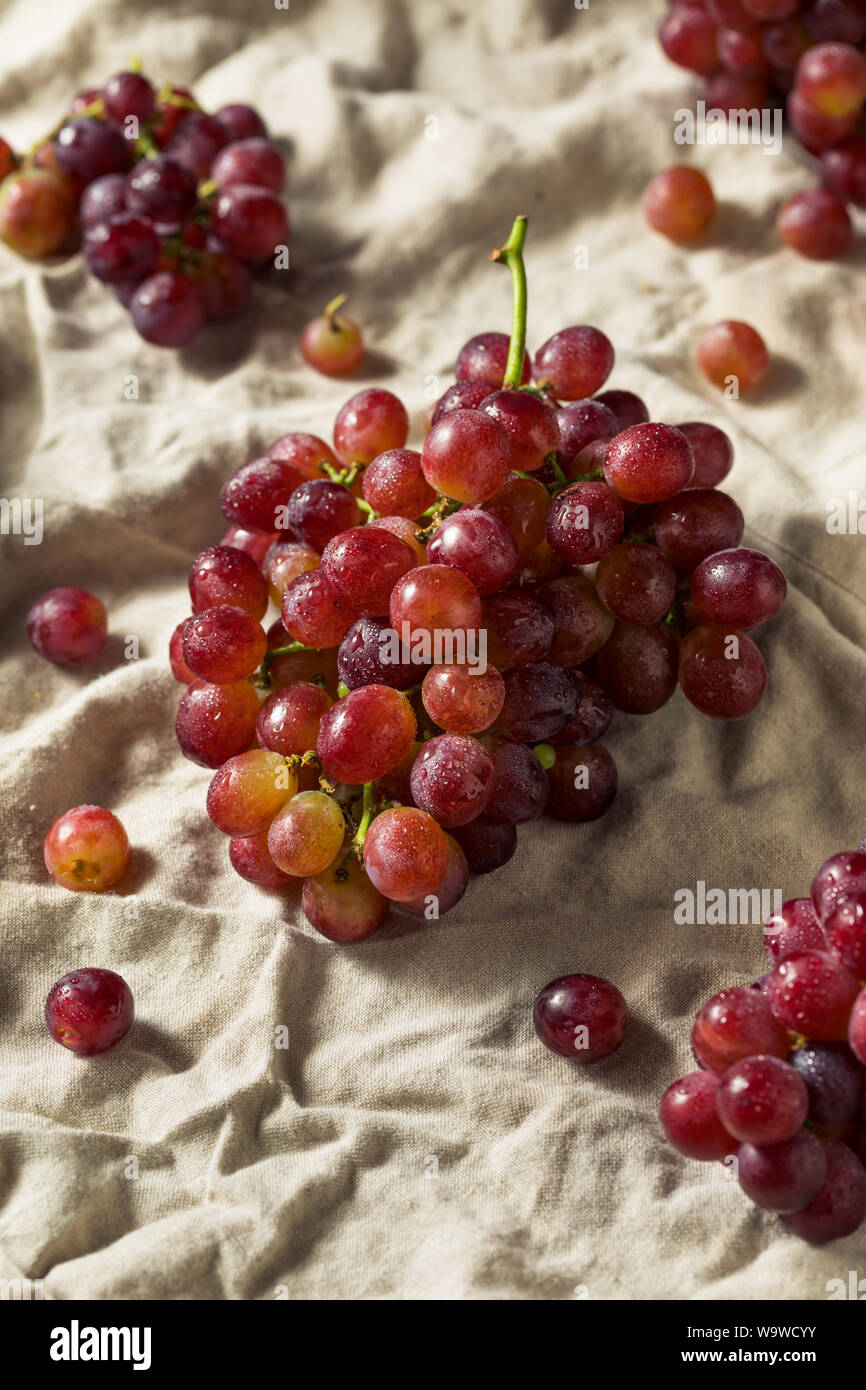 Raw Red Organic Grapes in a Cluster Stock Photo