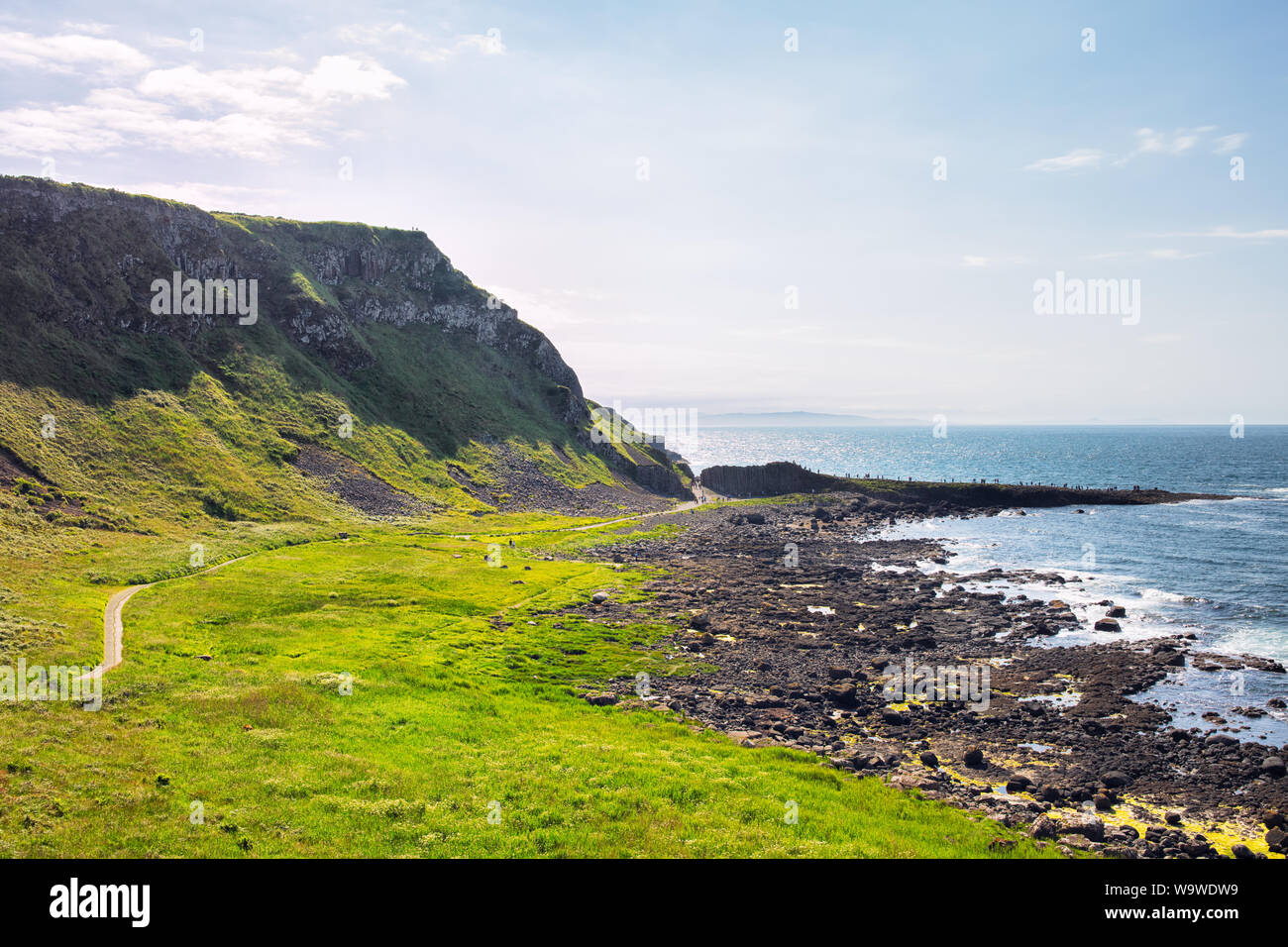 summer giants causeway coastline,Northern Ireland Stock Photo