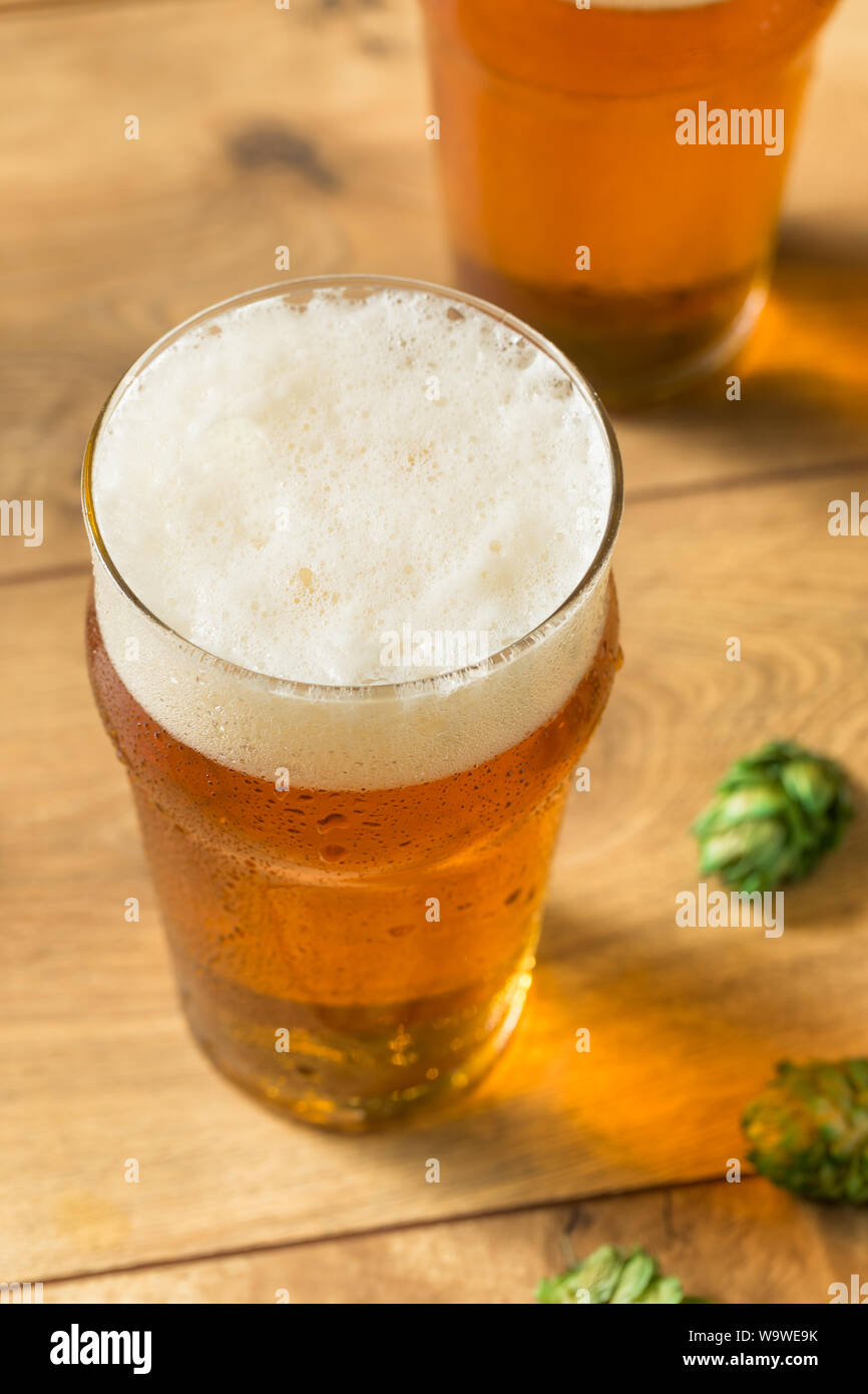 Refreshing Summer IPA Craft Beer with Hops Stock Photo