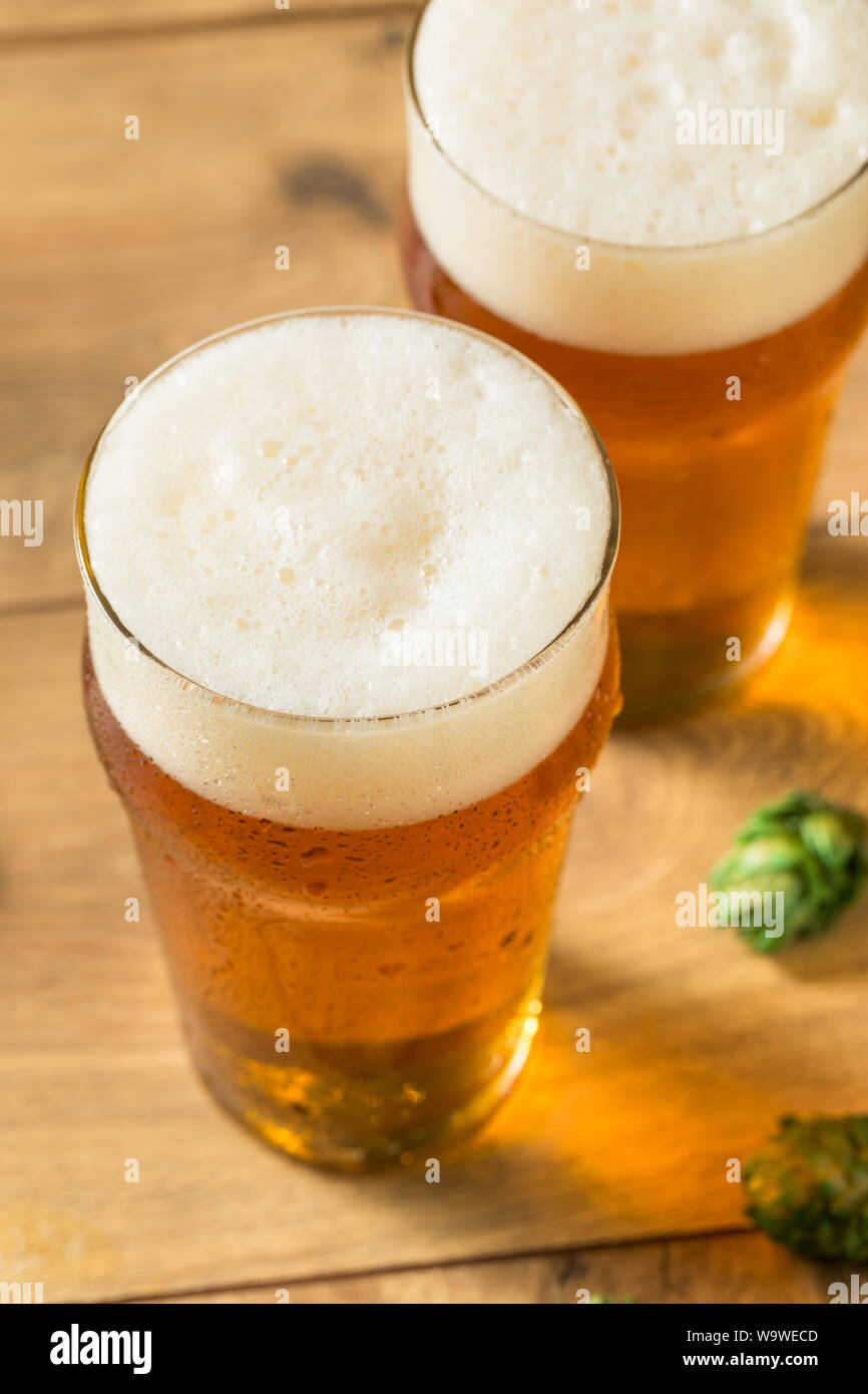 Refreshing Summer IPA Craft Beer with Hops Stock Photo