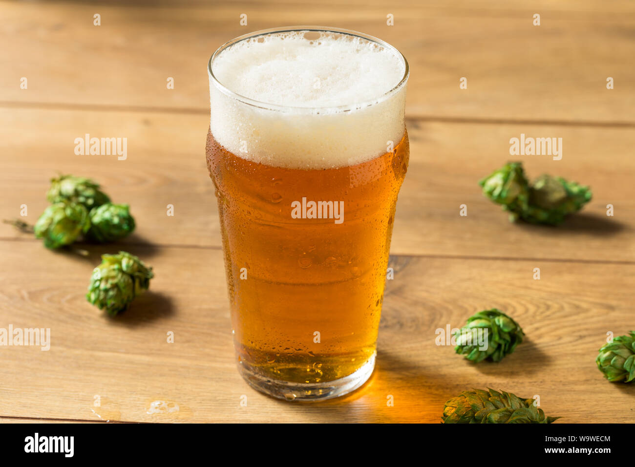 Refreshing Summer IPA Craft Beer with Hops Stock Photo