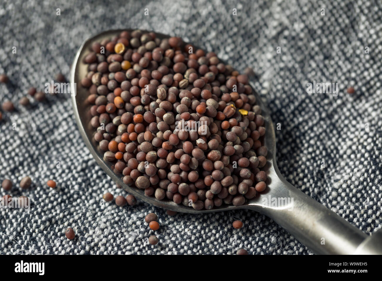 Brown mustard seeds hires stock photography and images Alamy