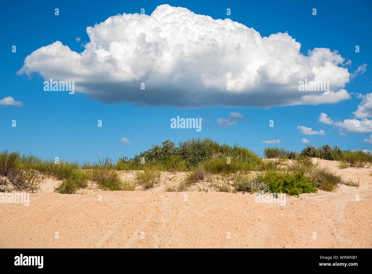 Semi-desert landscape on sunny day with white clouds in the sky Stock Photo