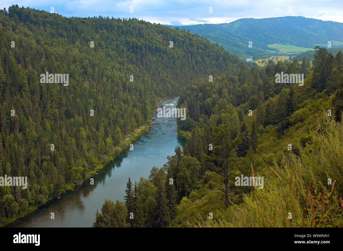 River in mounains. Altai, Russia Stock Photo