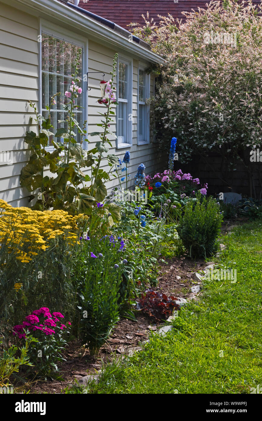 Flowers bloom in the front yard of a New England farmhouse - BLUE HILL, MAINE Stock Photo