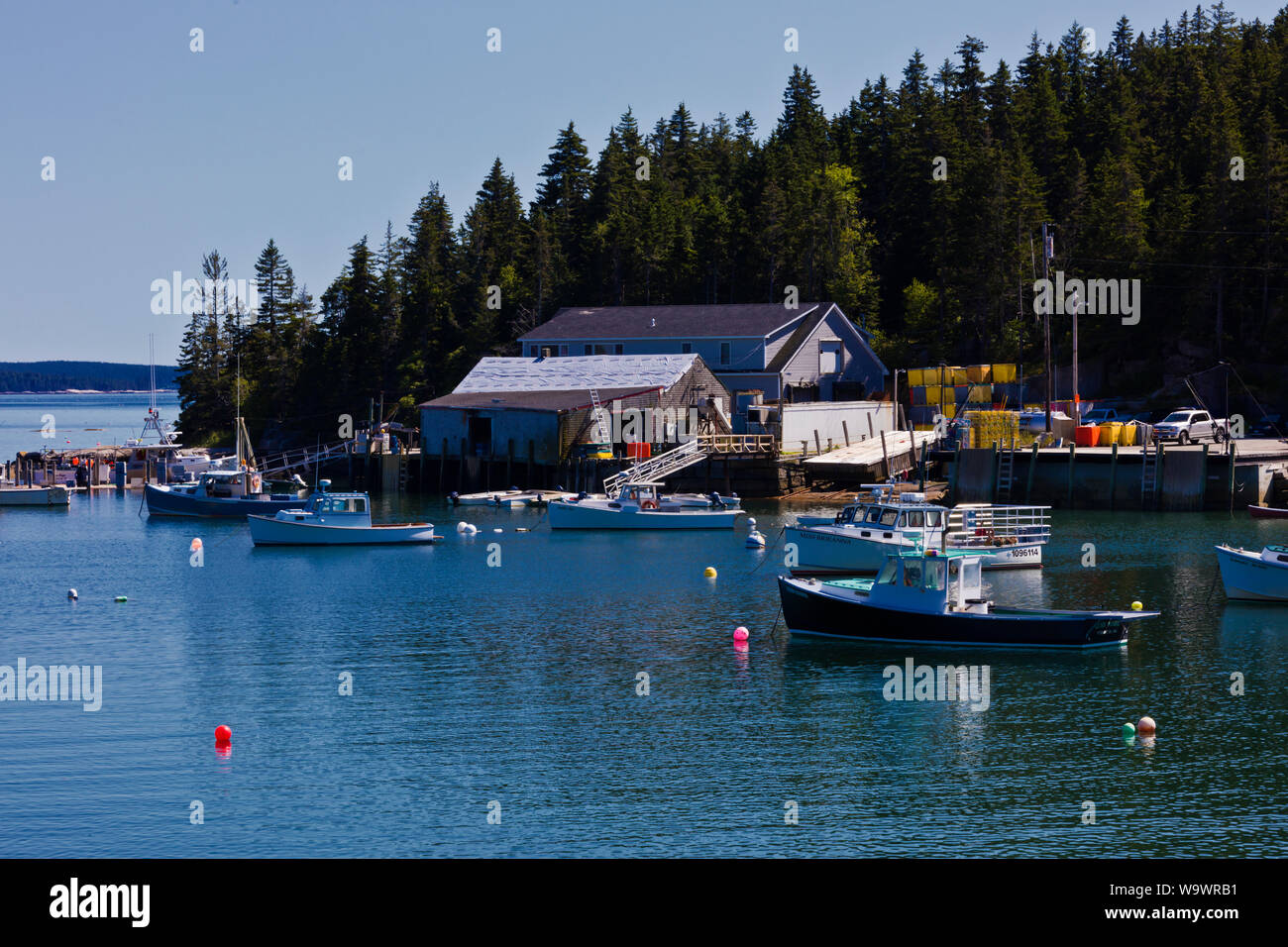 Fishing boats at anchor in STONINGTON a major lobster fishing port and