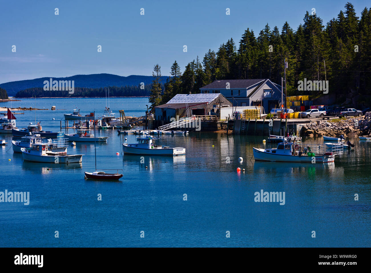 Fishing boats at anchor in STONINGTON a major lobster fishing port and