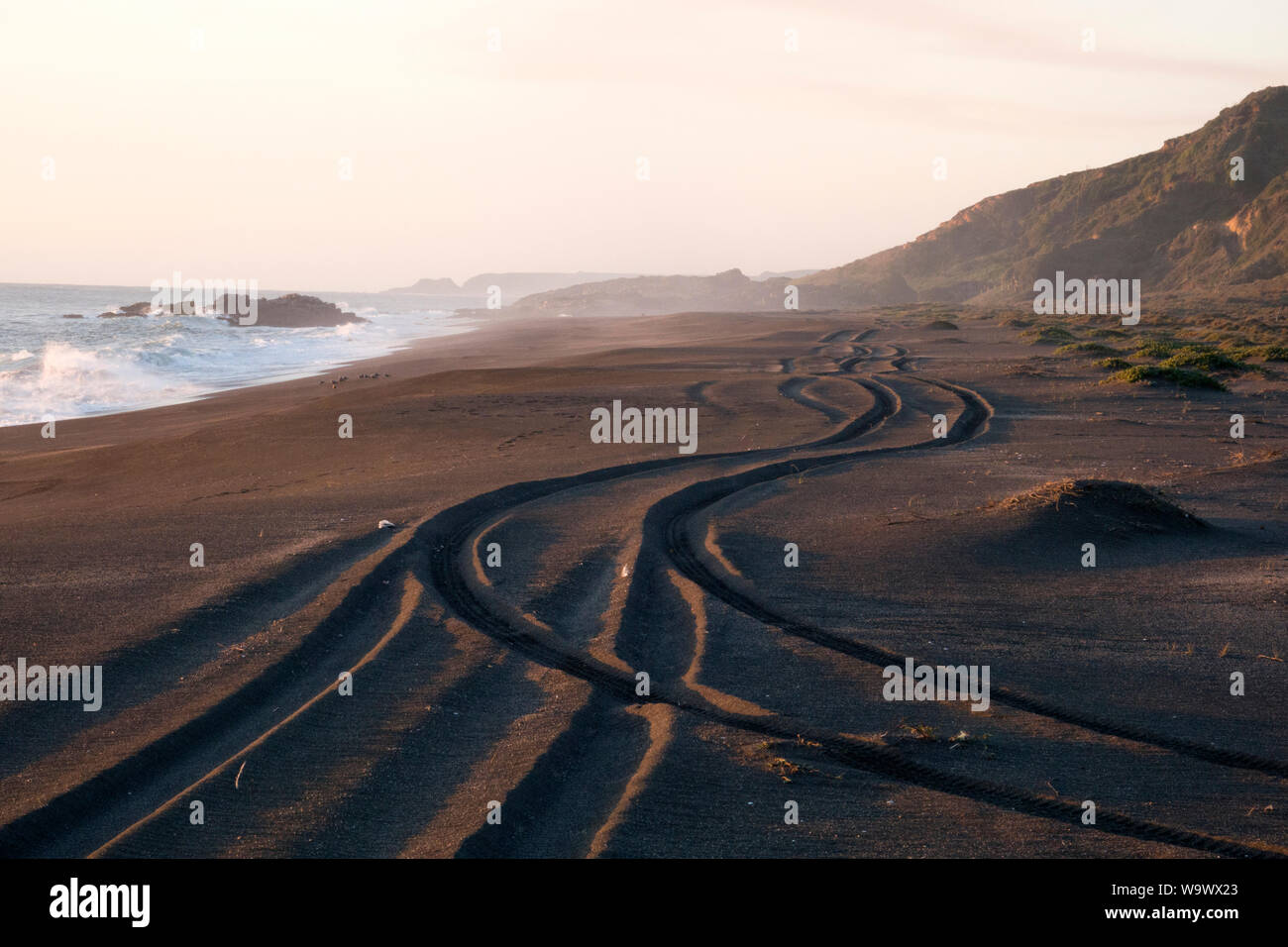 Vehicle tire tracks in sand dunes on Buchupureo beach in Nuble, Chile Stock Photo