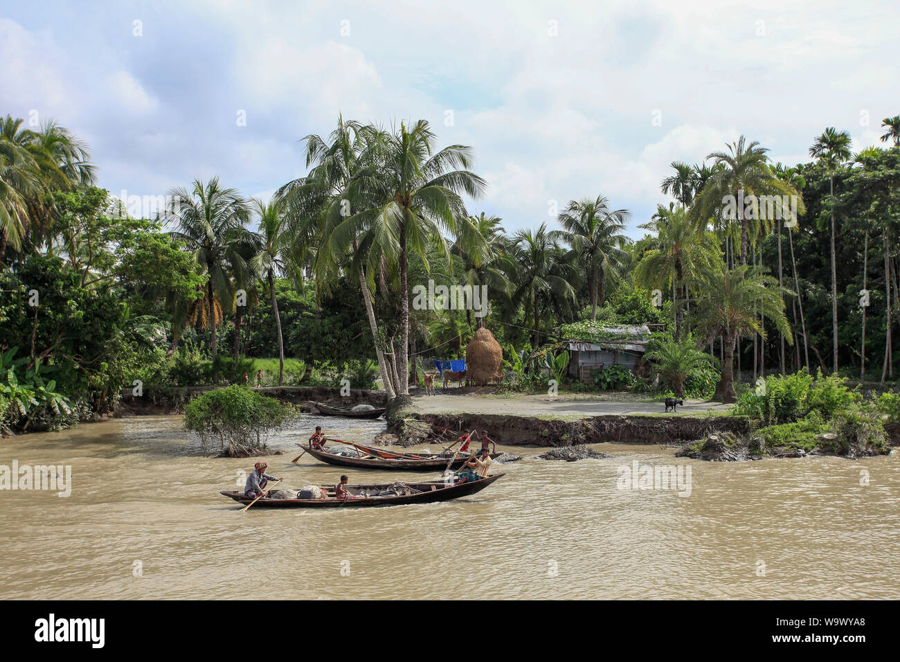 Erosion on the bank of Meghna River. Mehendiganj, Barisal Bangladesh. Stock Photo