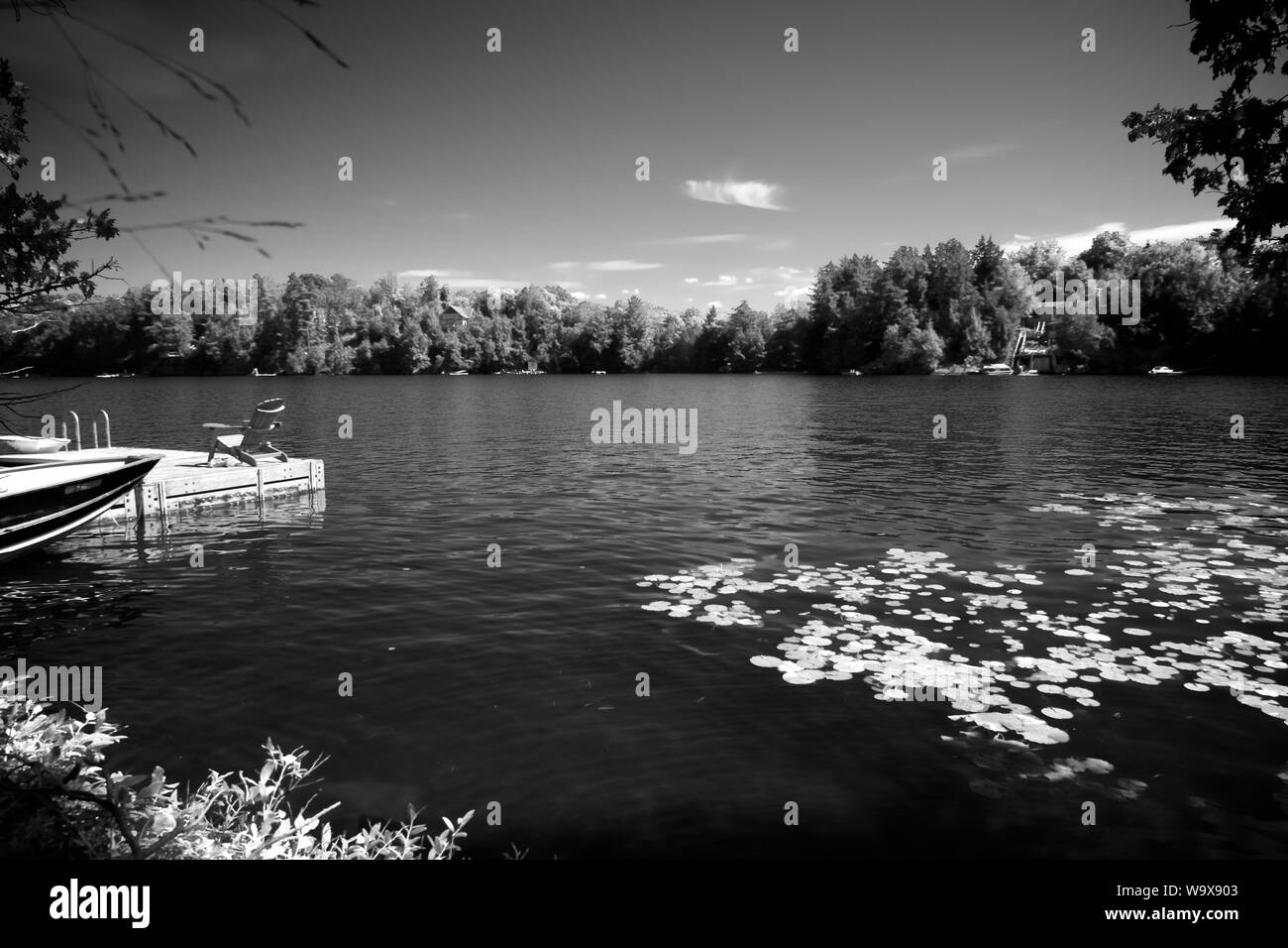 Docked boat, lake in McKellar, Ontario. Beautiful Black & White Stock