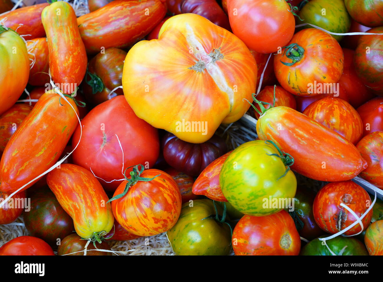 Crate of colorful organic heirloom tomatoes at the farmers market Stock ...