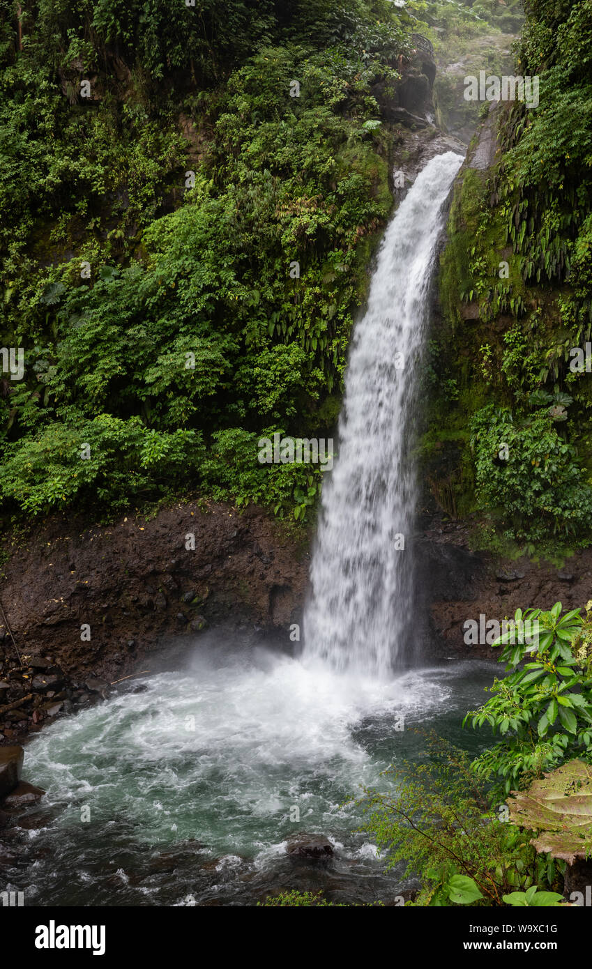 Waterfall in the Rainforest Stock Photo