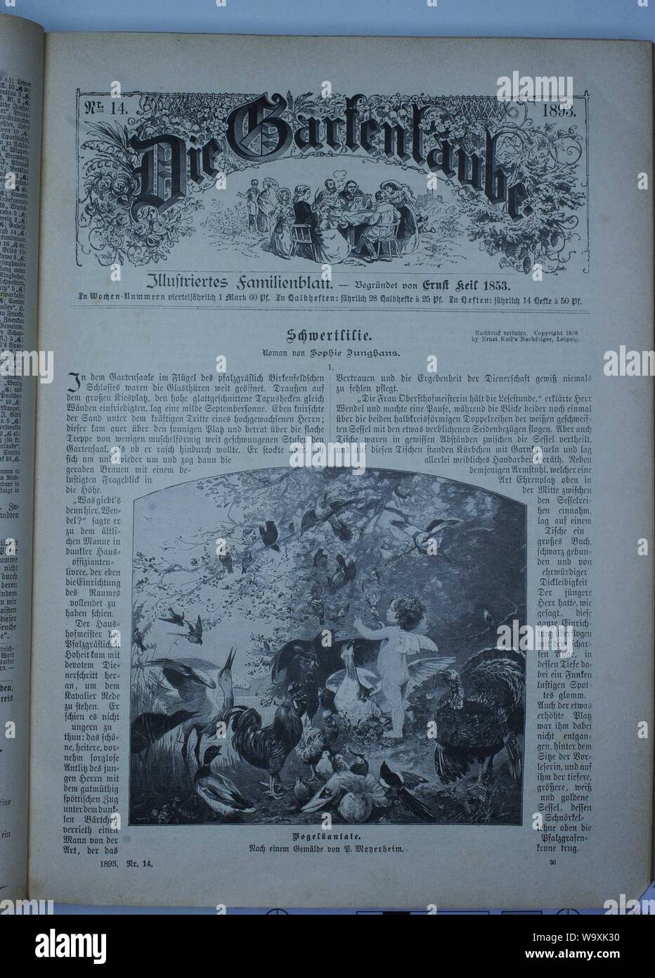 Die Gartenlaube (1893) 221. Stock Photo