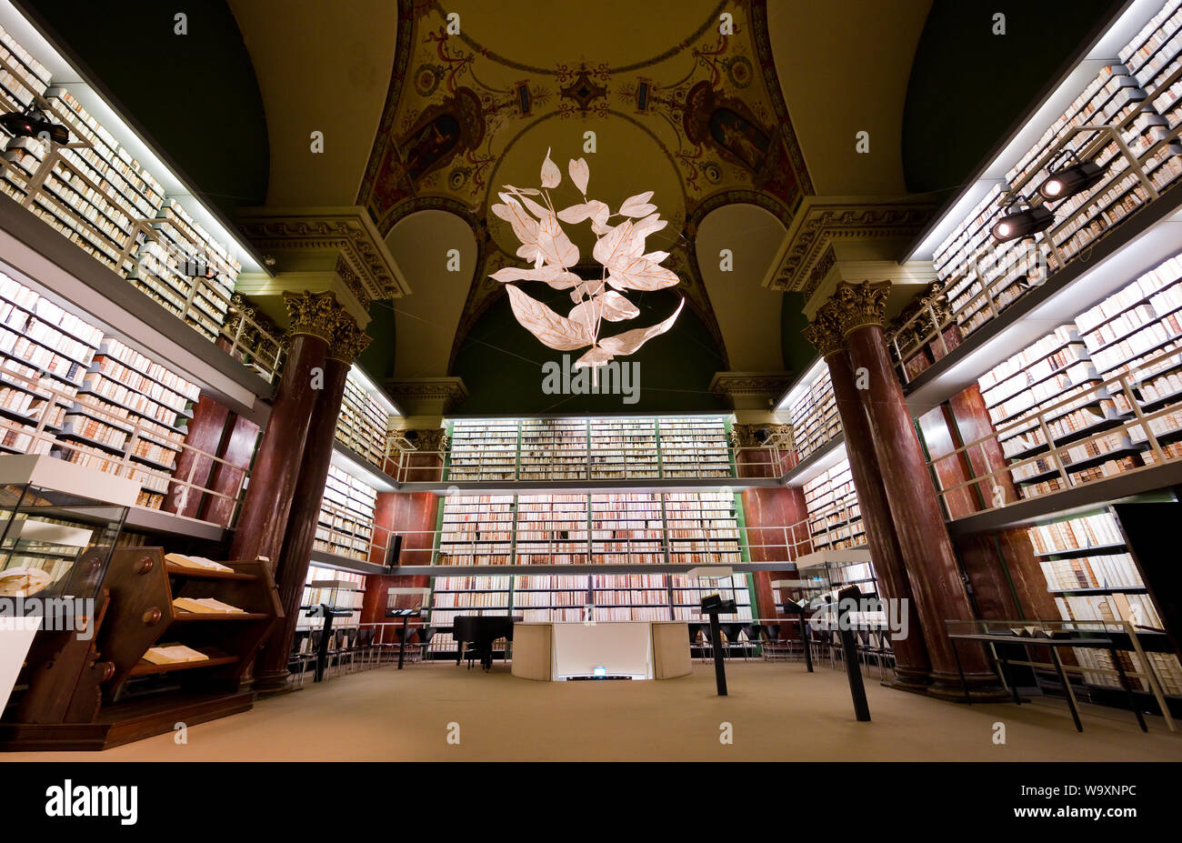 13 August 2019, Lower Saxony, Wolfenbüttel: The artwork 'Wolf's Milk' made of Japan paper by the artist Odine Lang hangs in Herzog August Library. (to dpa 'work of art opens new views on venerable library') Photo: Julian Stratenschulte/dpa Stock Photo