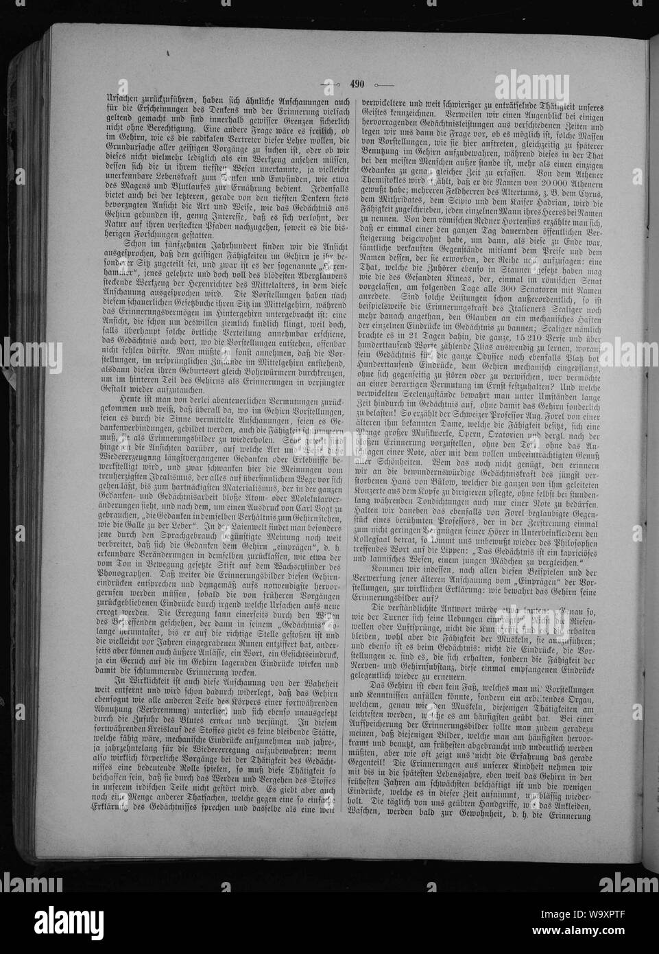 Die Gartenlaube (1894) 490. Stock Photo