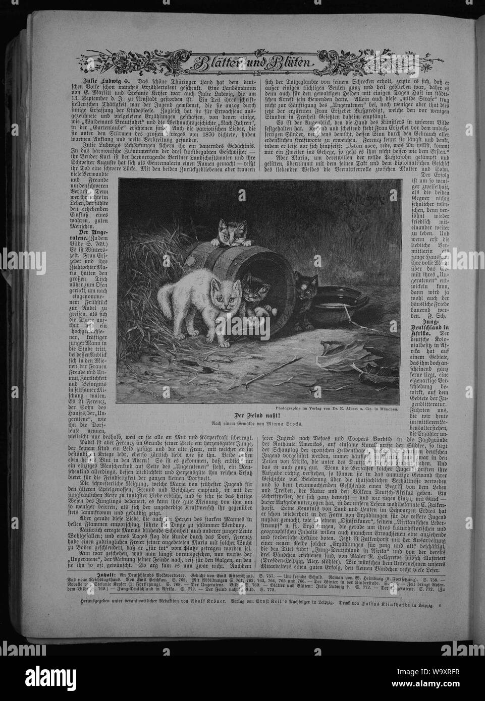 Die Gartenlaube (1894) 772. Stock Photo