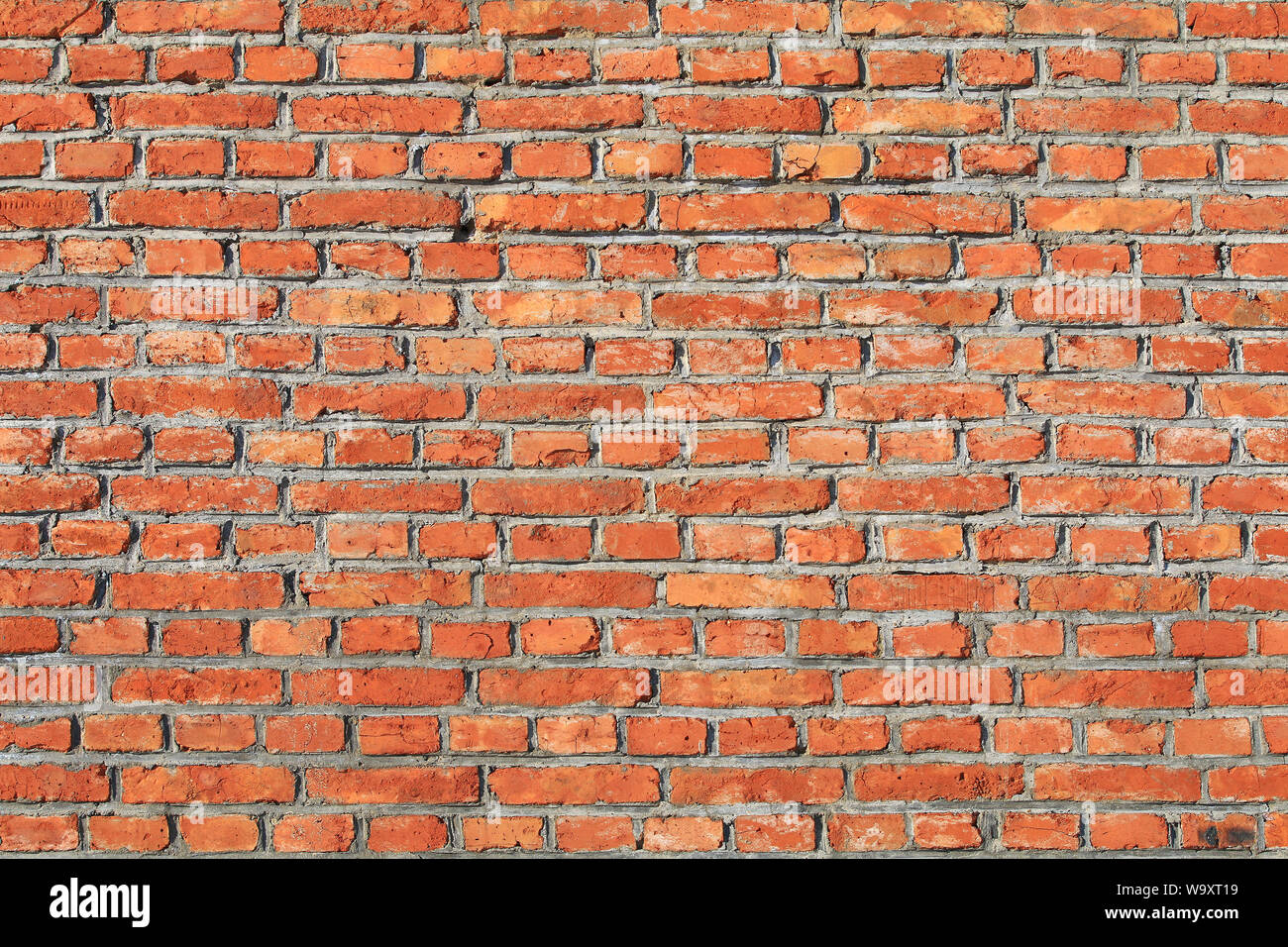 The red brick wall Stock Photo