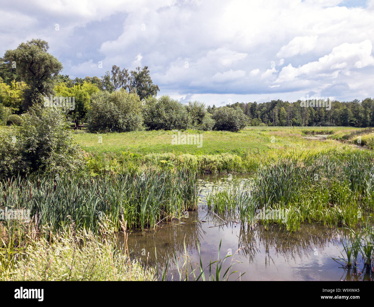 Summer river landscape hi-res stock photography and images - Alamy
