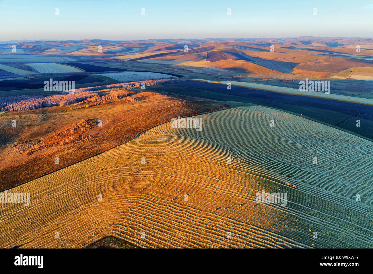 Tooth g stone fall in Inner Mongolia pastoral scenery Stock Photo - Alamy