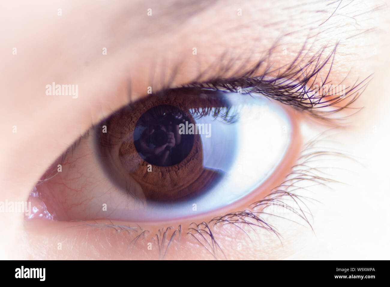 young woman close up detailed brown eye Stock Photo