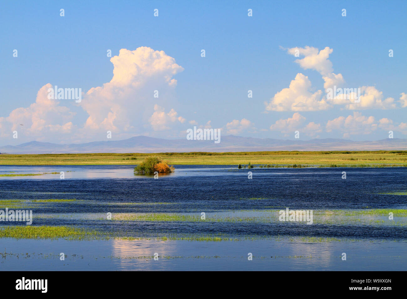 Inner Mongolia hu column also vomit lake wetlands Stock Photo