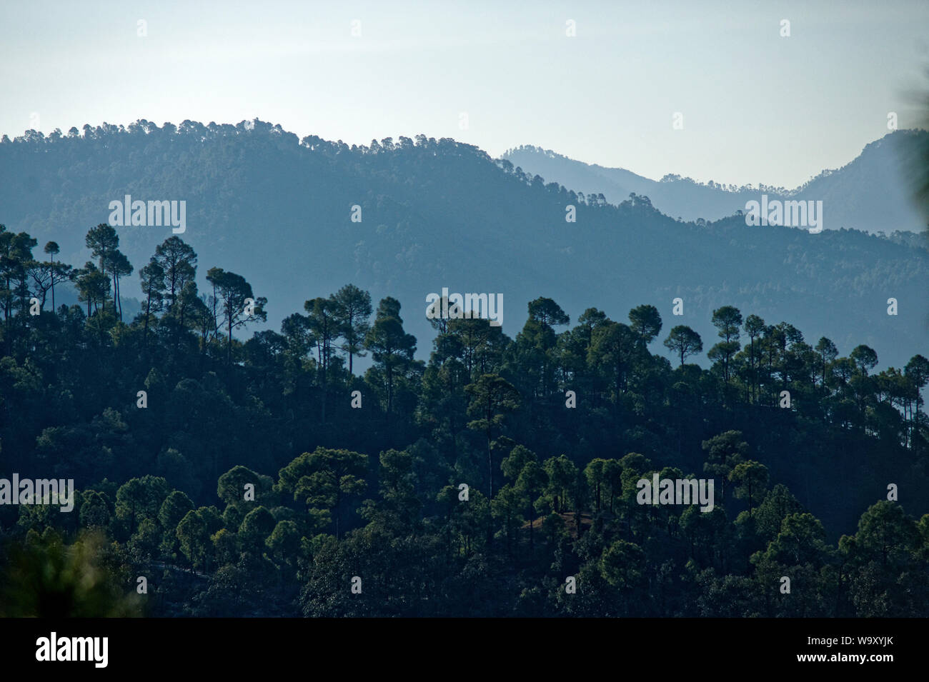 Green forest and mountain ranges Stock Photo - Alamy