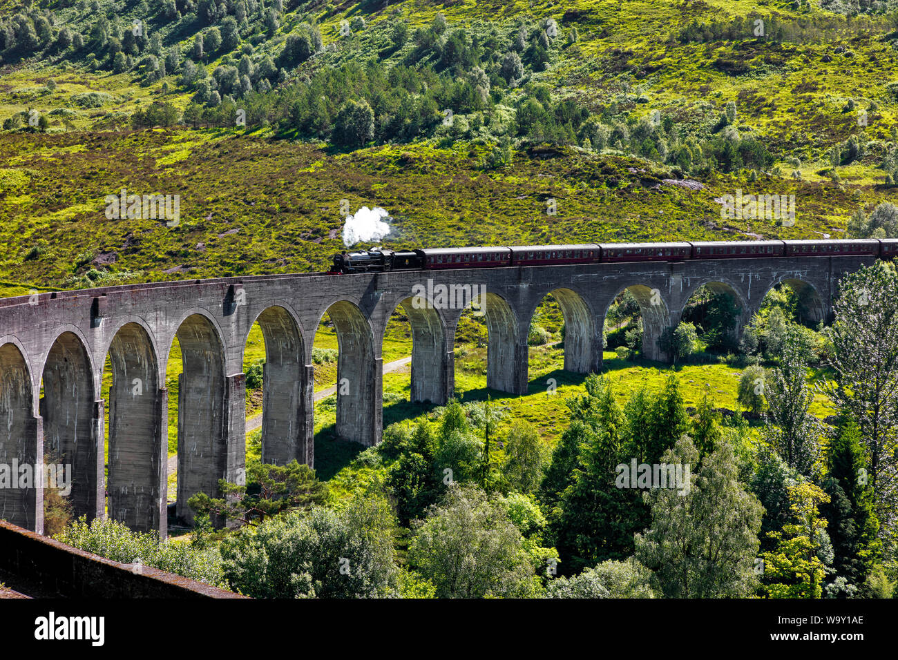 Glenfinnan viaduct from the Harry Potter films with historic train, Jacobin Express, Glenfinnan, Scotland, Great Britain Stock Photo