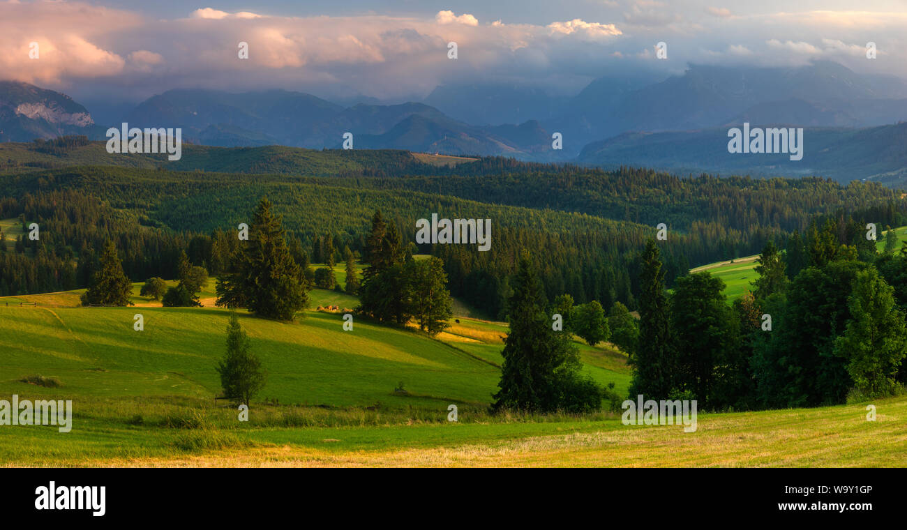 Panorama of the Tatra Mountains. Mountain peaks towering over green ...