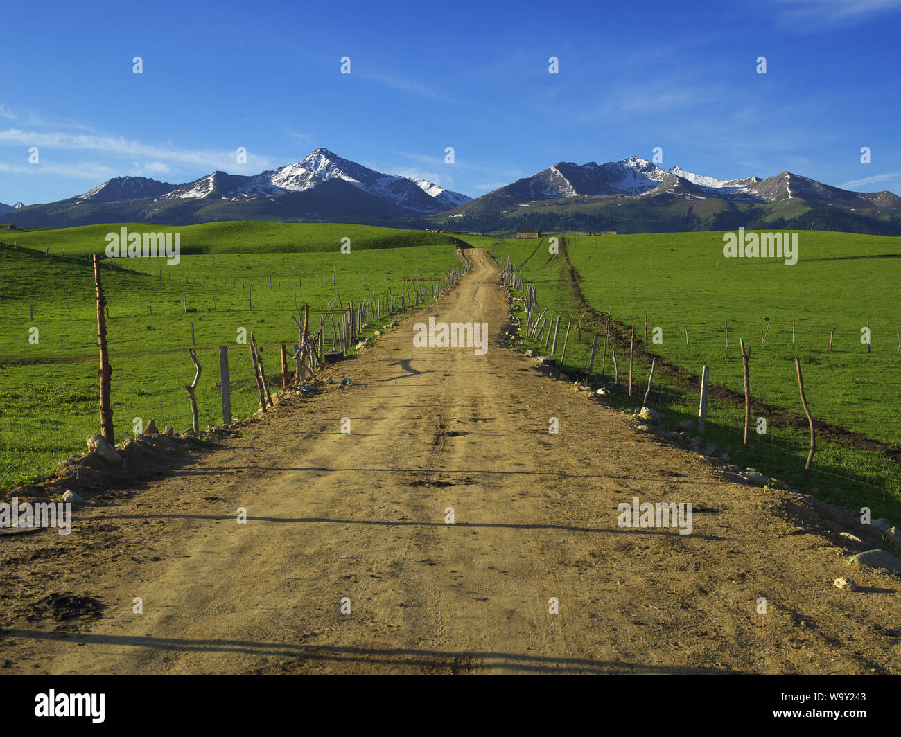 Grassland road scenery hires stock photography and images Alamy