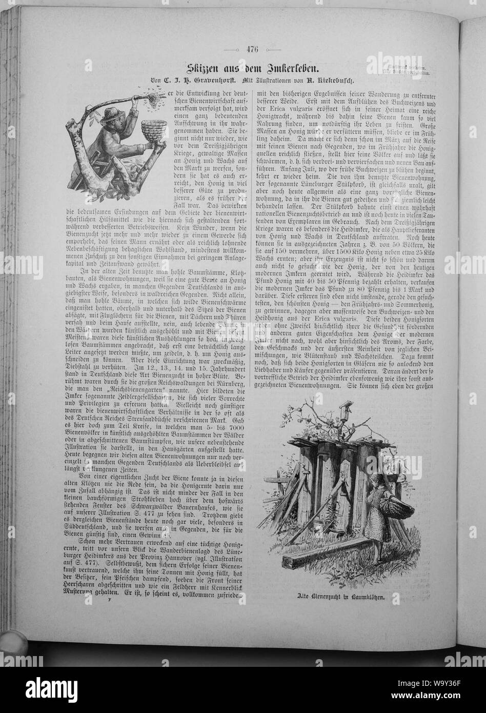 Die Gartenlaube (1897) 476 Stock Photo Alamy