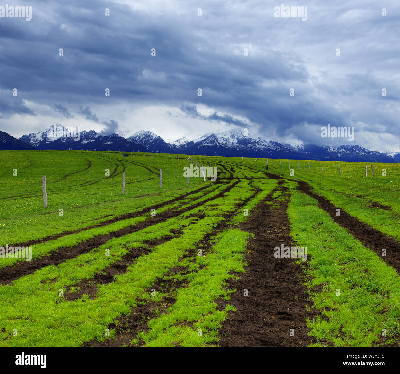 The road of grassland Stock Photo Alamy