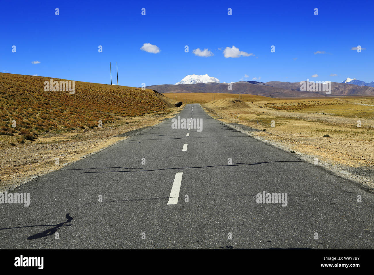 The creat hi-res stock photography and images - Alamy