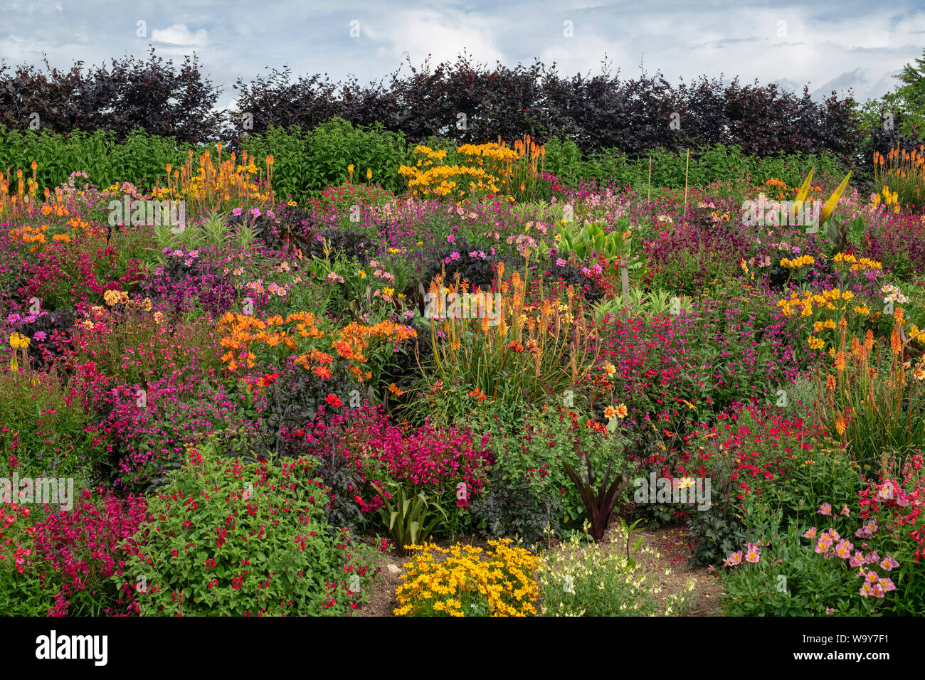 Colourful summer flowerbeds at Aston Pottery. Aston, Bampton, Oxfordshire, England Stock Photo