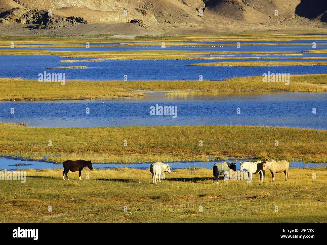 Class and lake scenery Stock Photo Alamy