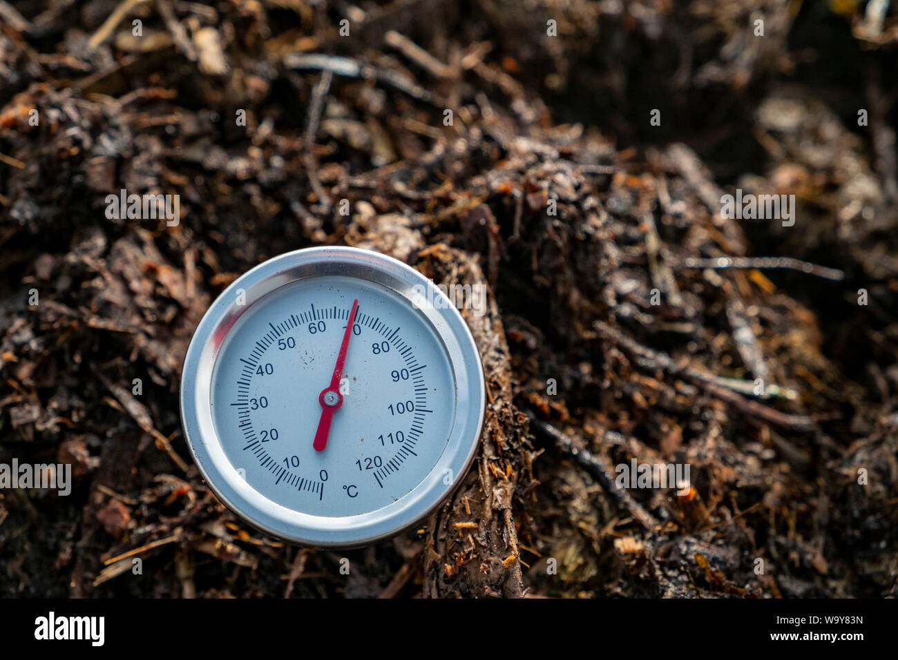Compost thermometer reading a measurement of almost 70 degrees Celsius. Stock Photo