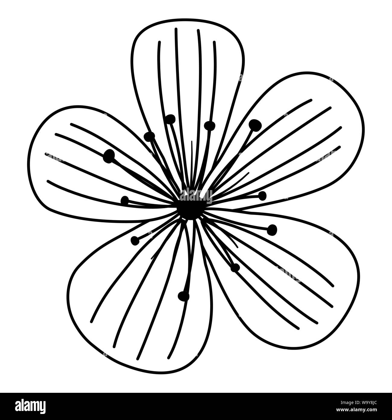 Flower design, floral nature plant ornament garden decoration and