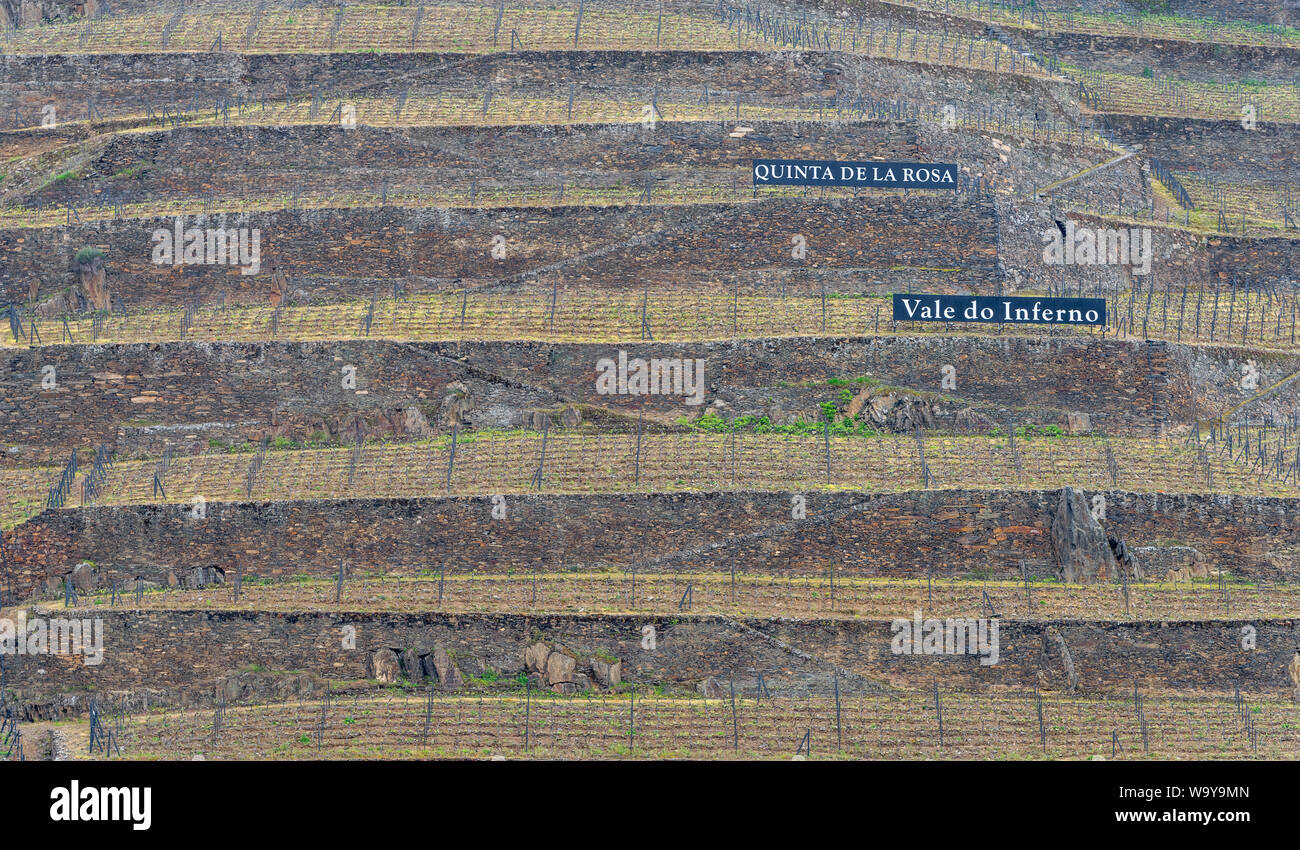 Vineyard hills in Douro river valley, Portugal Stock Photo