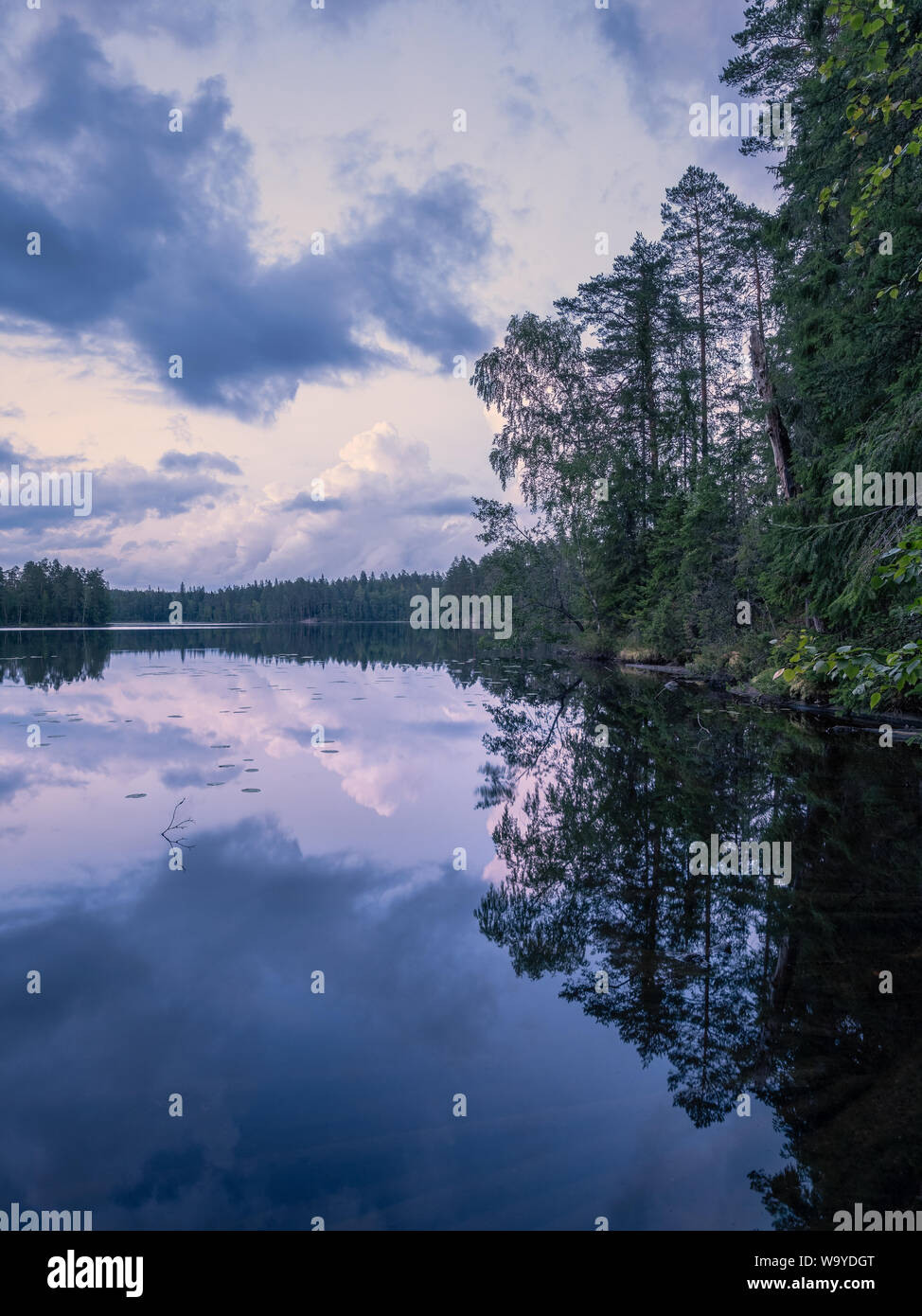 Scenic summer night landscape with mood light and beautiful reflections at lakeside in Finland. Stock Photo