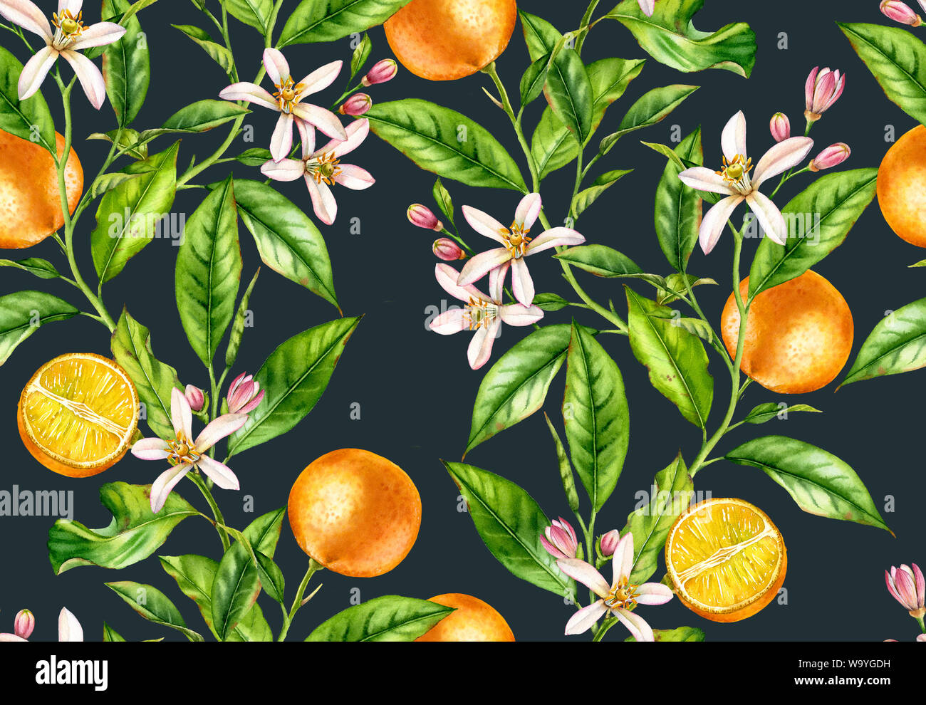 Orange fruit branches. Seamless pattern with flowers realistic botanical floral illustration on dark blue background hand painted Stock Photo
