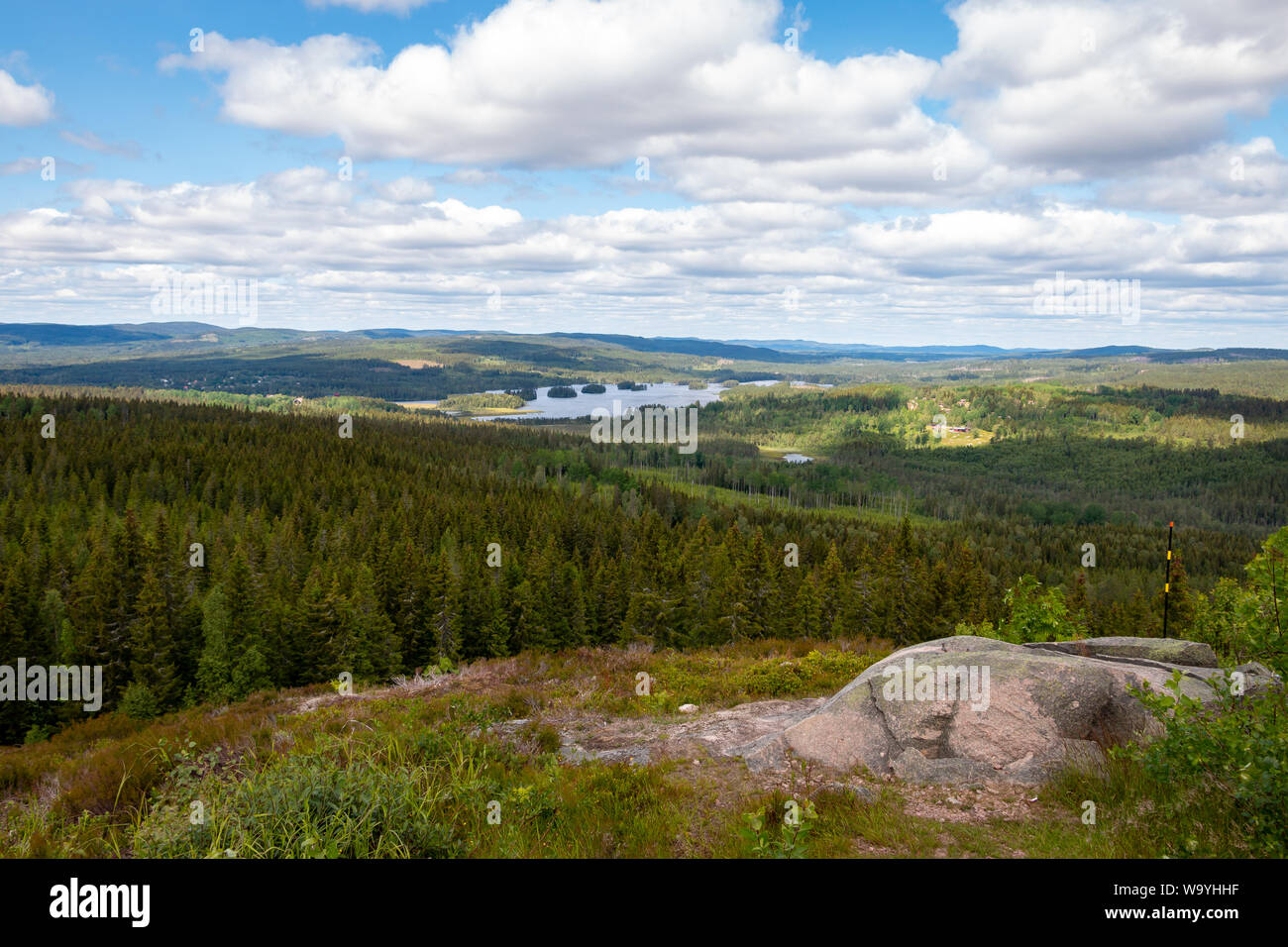Swedish landscape with pine trees, hills and a lake, picture taken in region Dalarna, nearby Fredriksberg Stock Photo