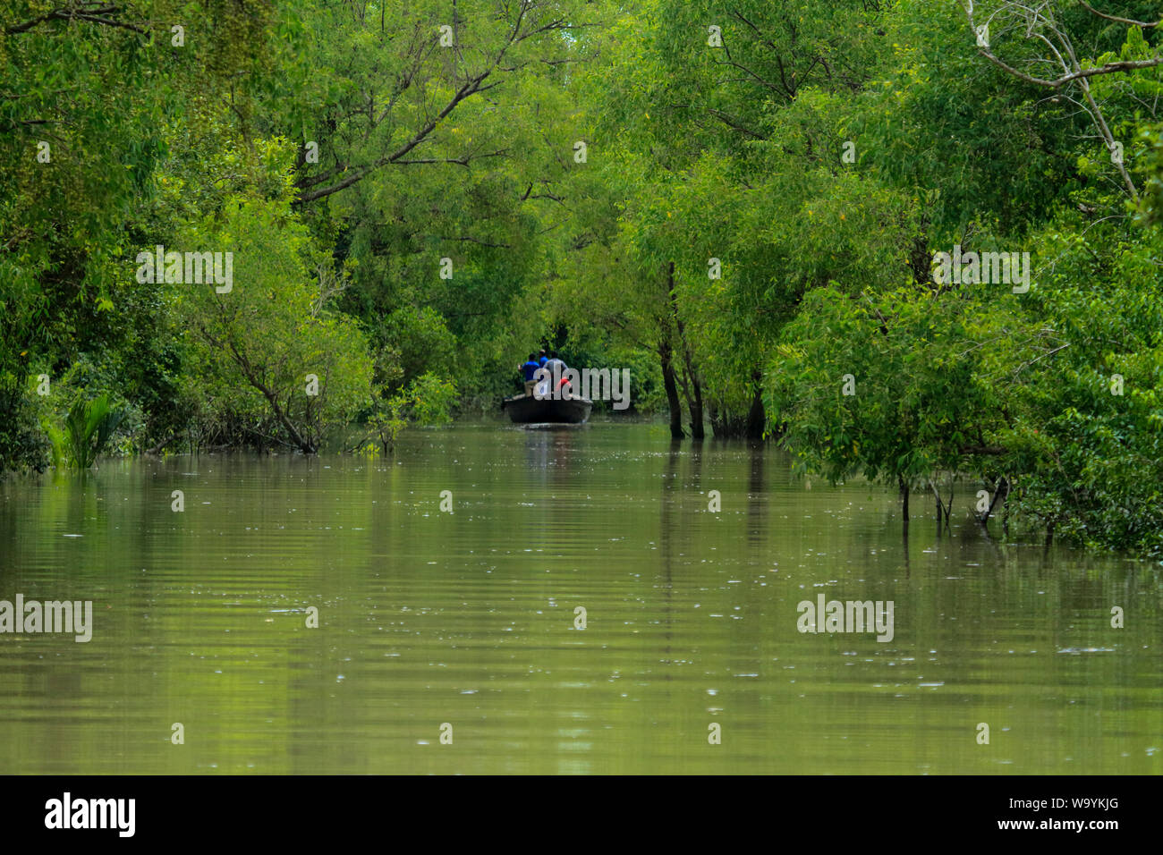 Tourists roam on a boat inside the Sundarbans, the largest mangrove forest in the world. Bangladesh. Stock Photo