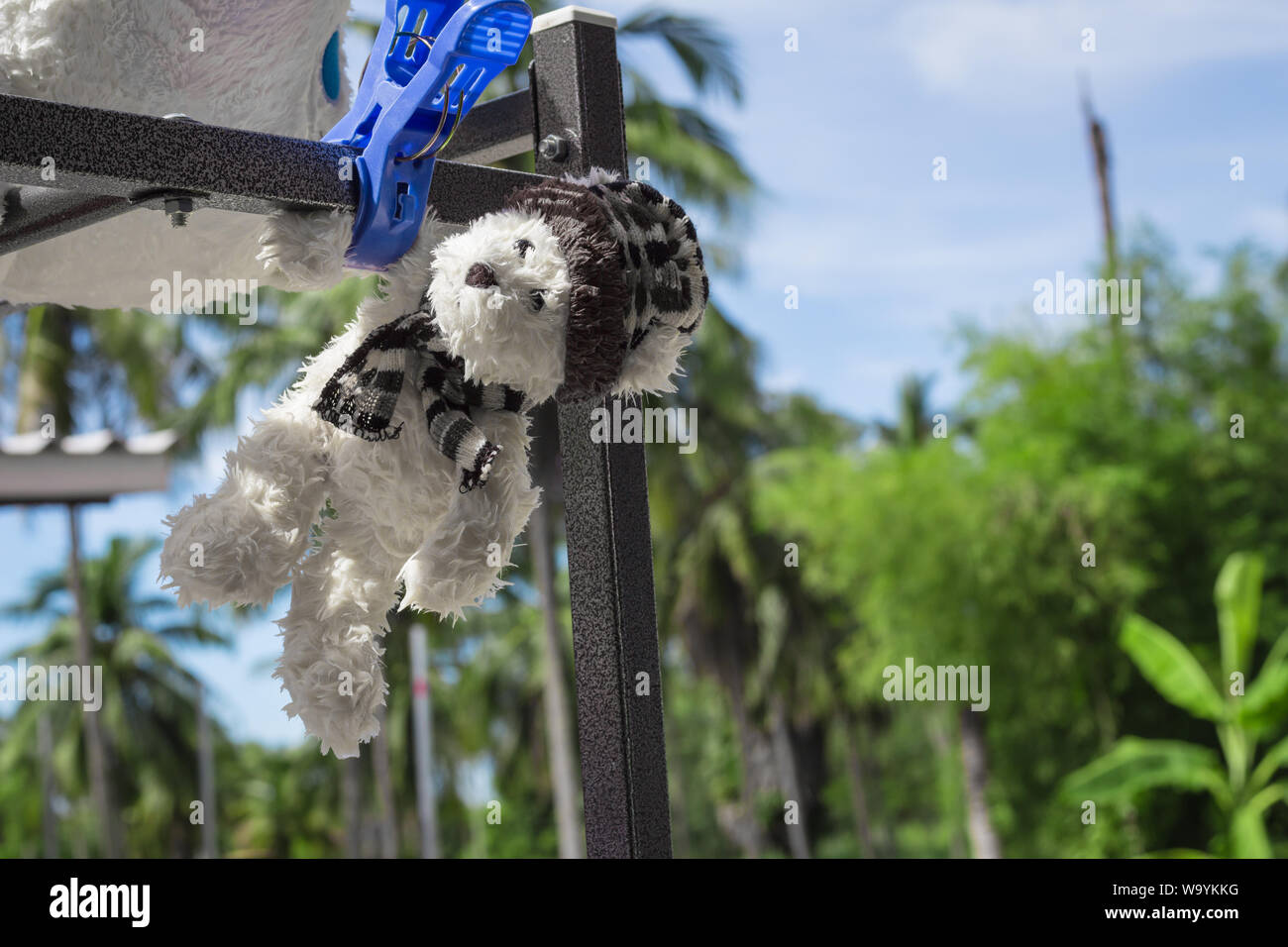 Teddy bear hanging on the towel rack is sunlight Stock Photo - Alamy