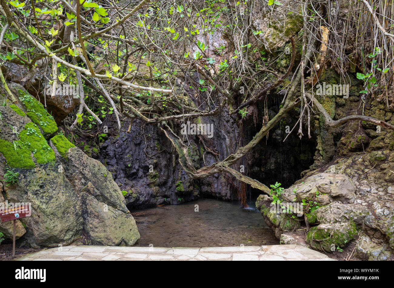 Baths of Aphrodite on the Akamas Peninsula, Cyprus Stock Photo Alamy