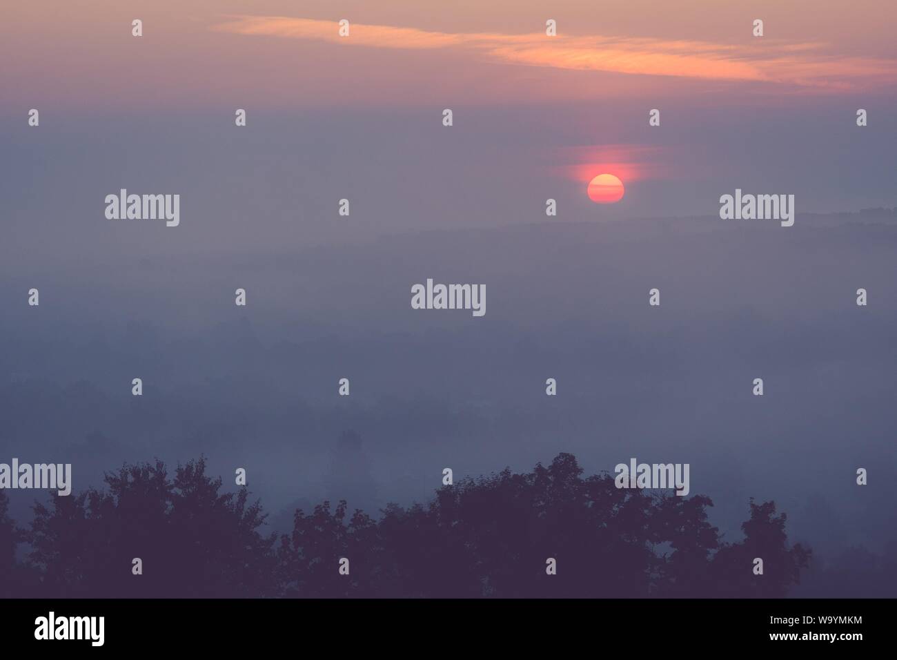 Beautiful shot of a foggy and misty forest with beautiful clouds and ...