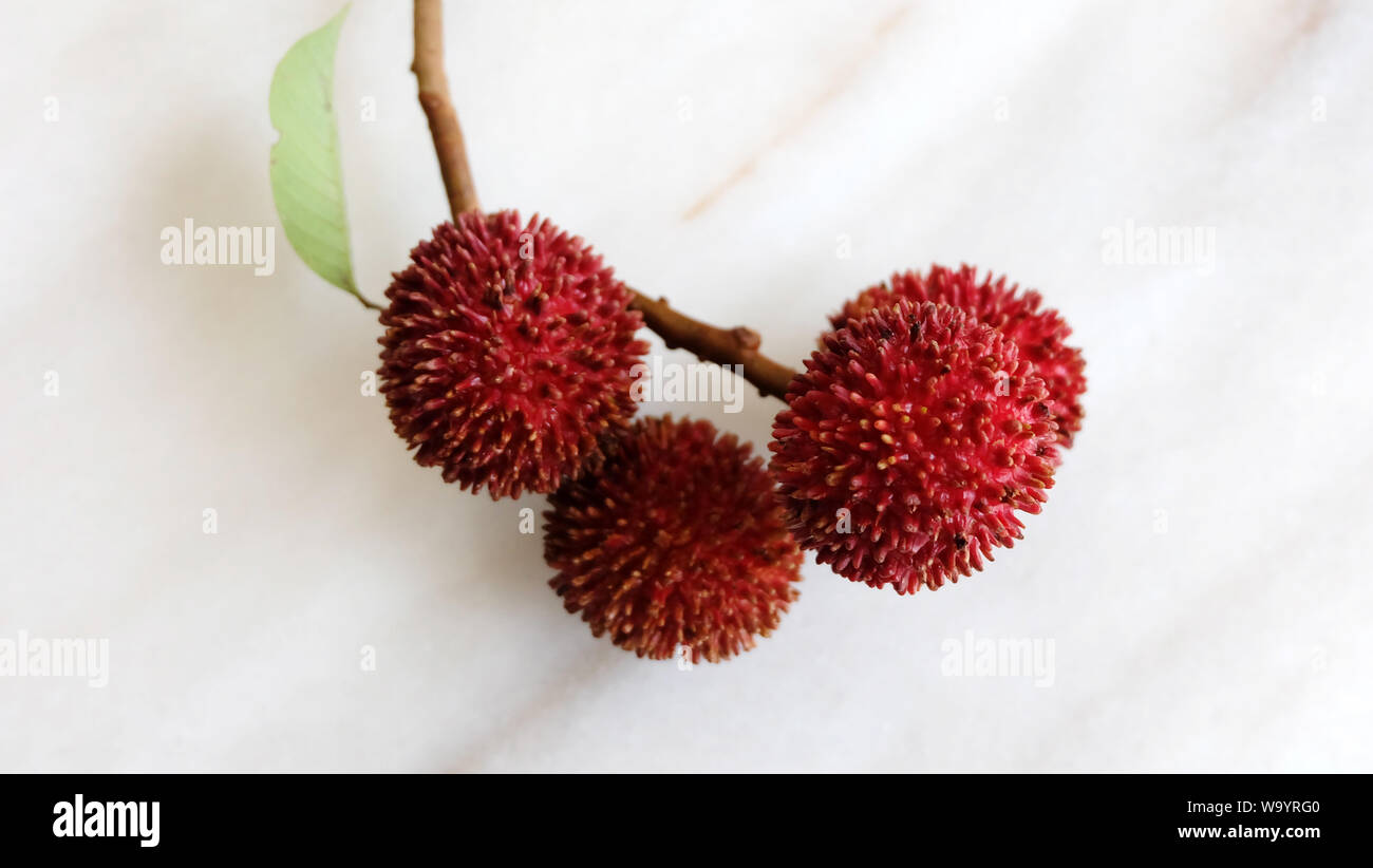 A bunch of pulasan fruit. A red tropical fruit with the scientific name Nephelium ramboutan-akea, it is closely allied to rambutan. Stock Photo